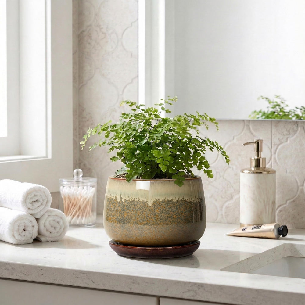 Fivepot 6 Inch Plant Pot packaging
