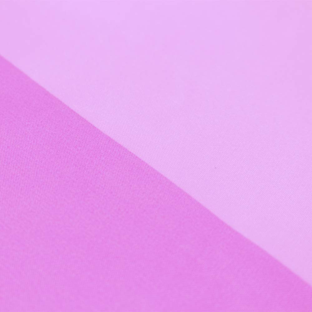 FLAGLINK Lesbian Pride Flag displayed outdoors in a garden