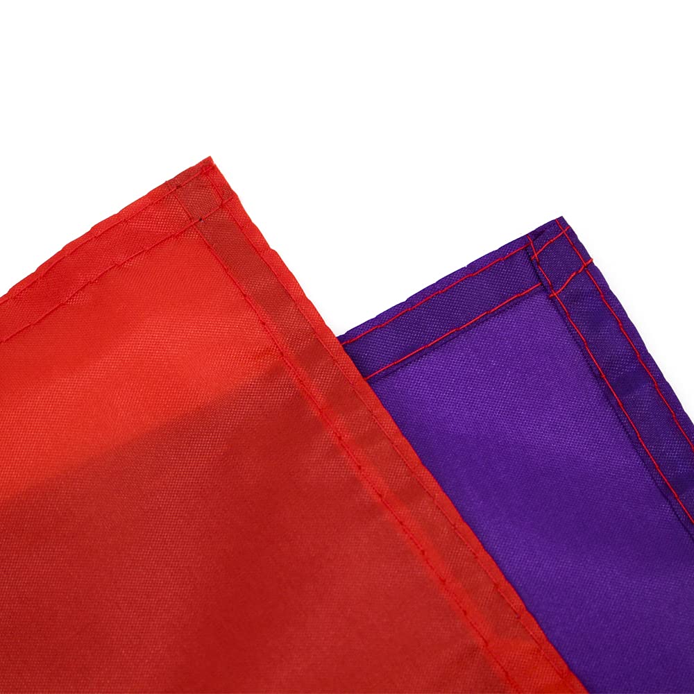FLAGLINK Progress Pride Flag displayed outdoors