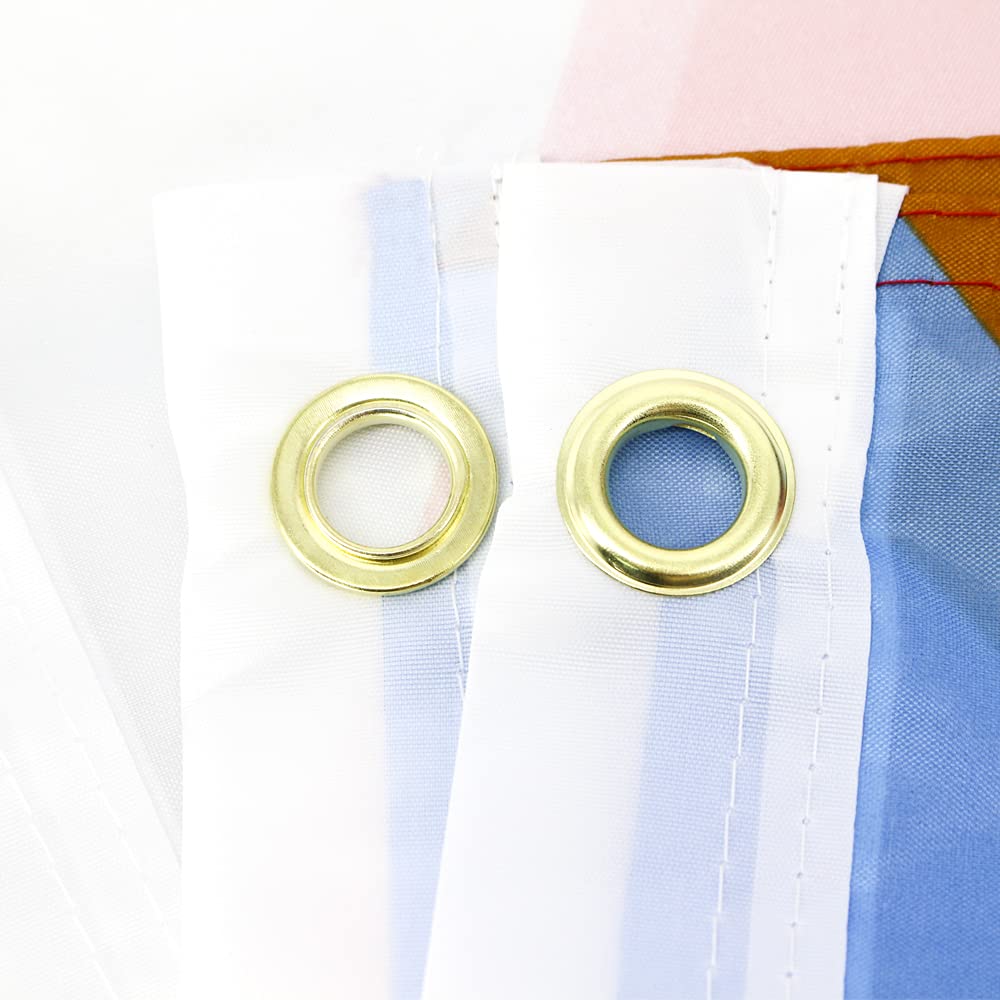 FLAGLINK Progress Pride Flag packaging