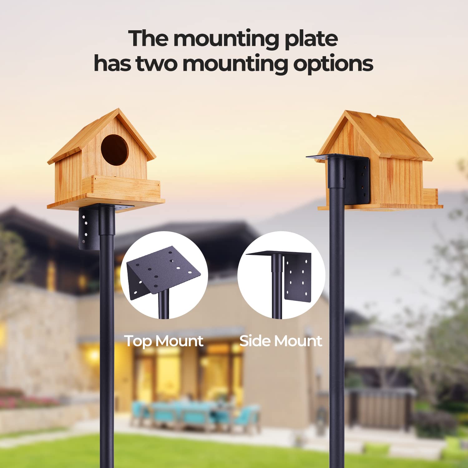 Flanagan bird feeder pole with various bird houses