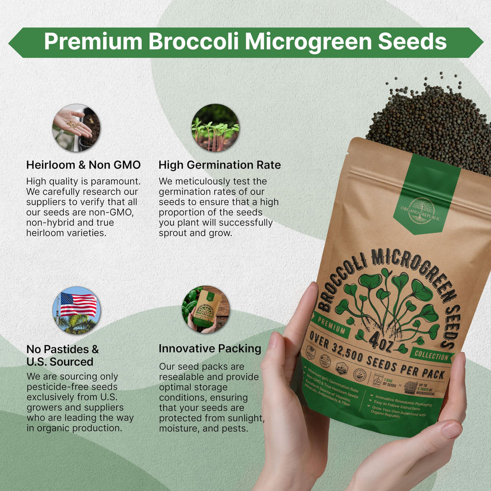 Flat lay of Organo Republic Broccoli Sprouting Seeds with planting materials