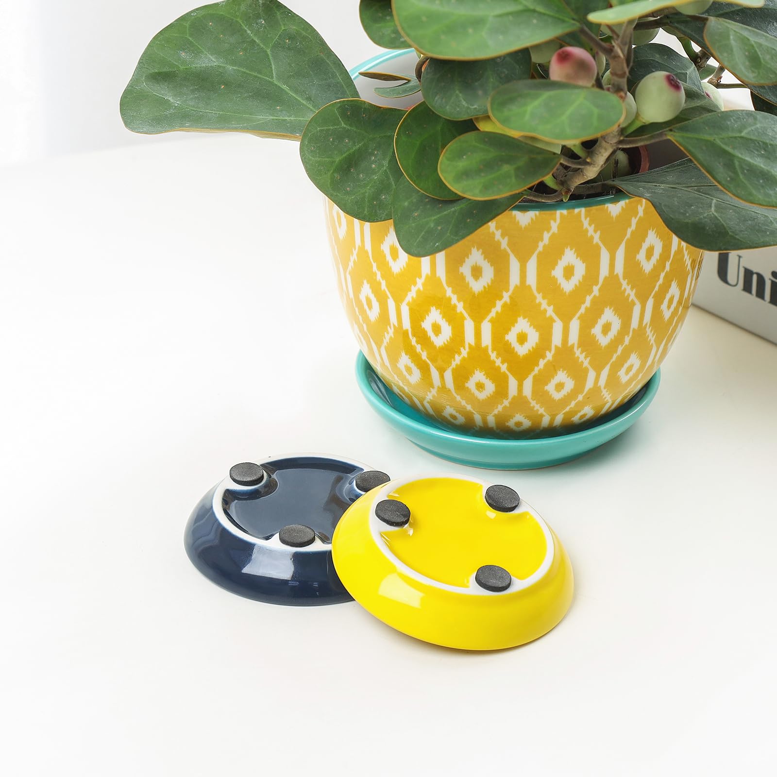 Flat lay of Selamica assorted color succulent pots