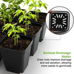 Flat seed starter tray from RooTrimmer with pots in place