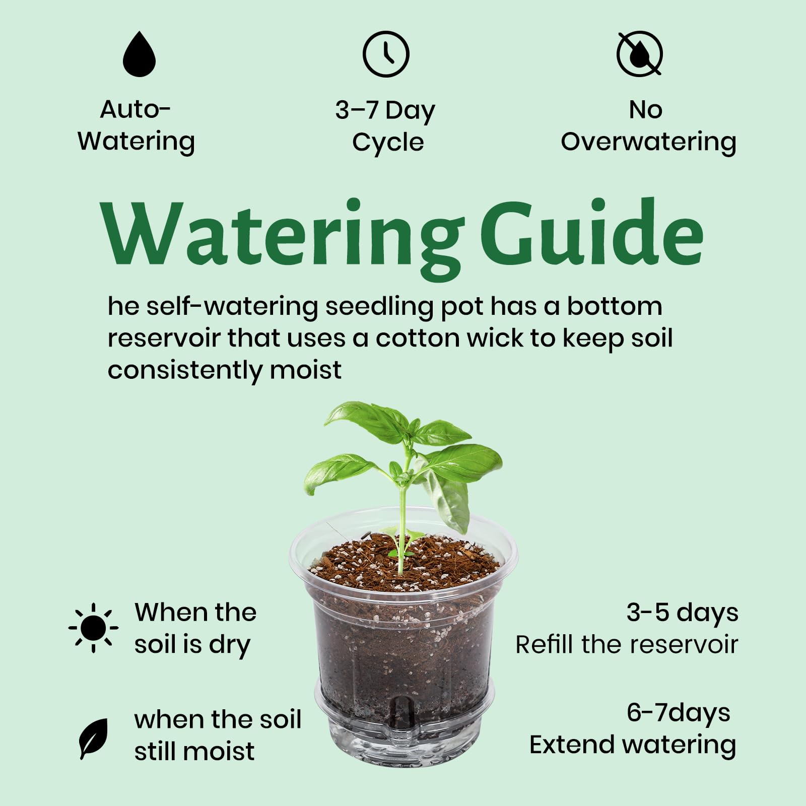 Flexible wall of Bluepro pot for easy transplanting