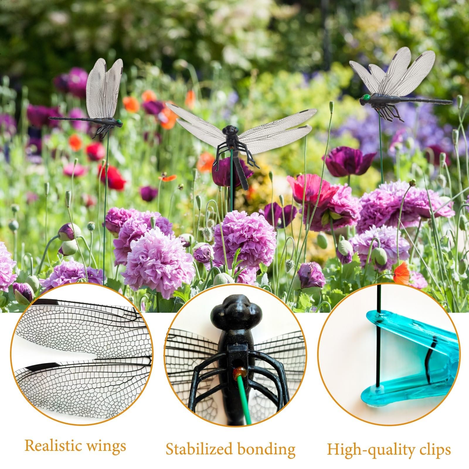 Flexible wings of the Black Dragon Fly Clip