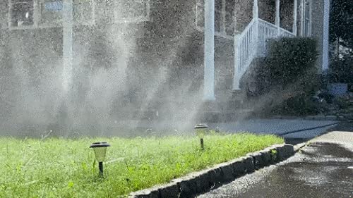 Flexon 25-foot sprinkler hose in use in a garden