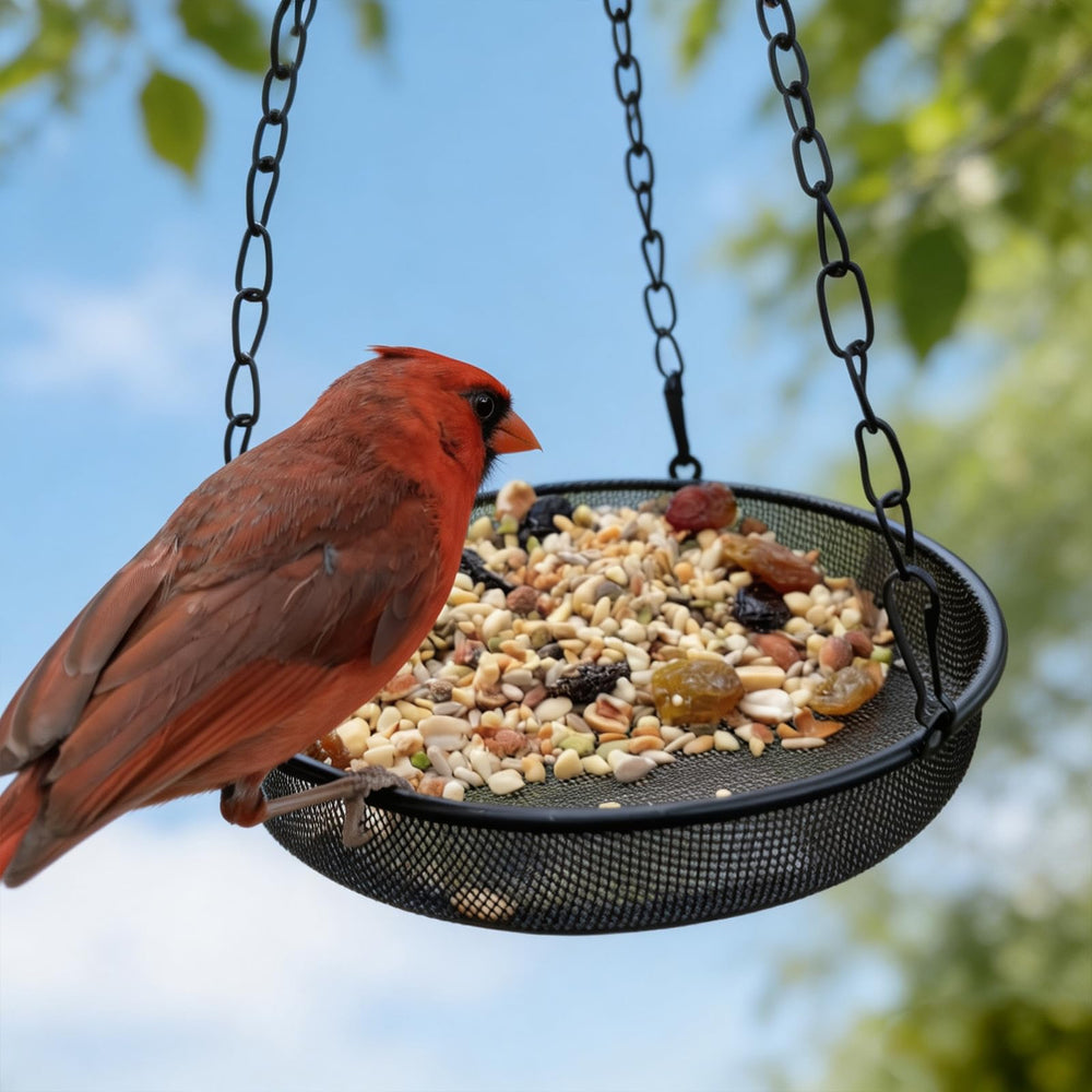 FLINTER bird feeder adjustable chain and hook