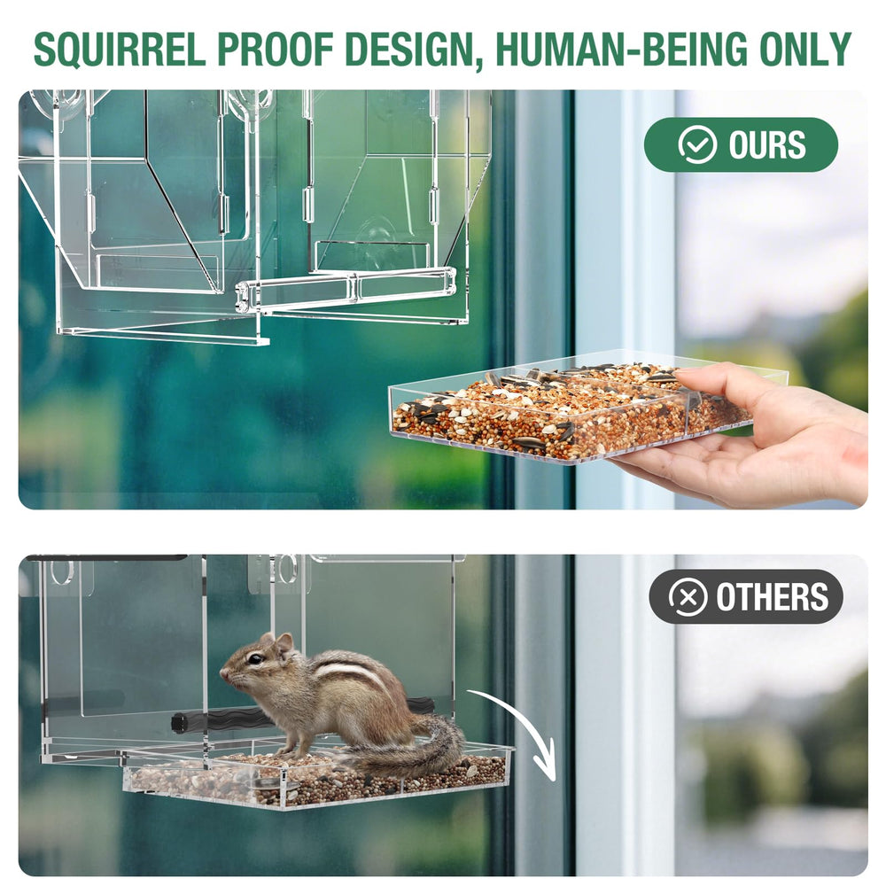 FLINTER Window Bird Feeder showing dual granary storage