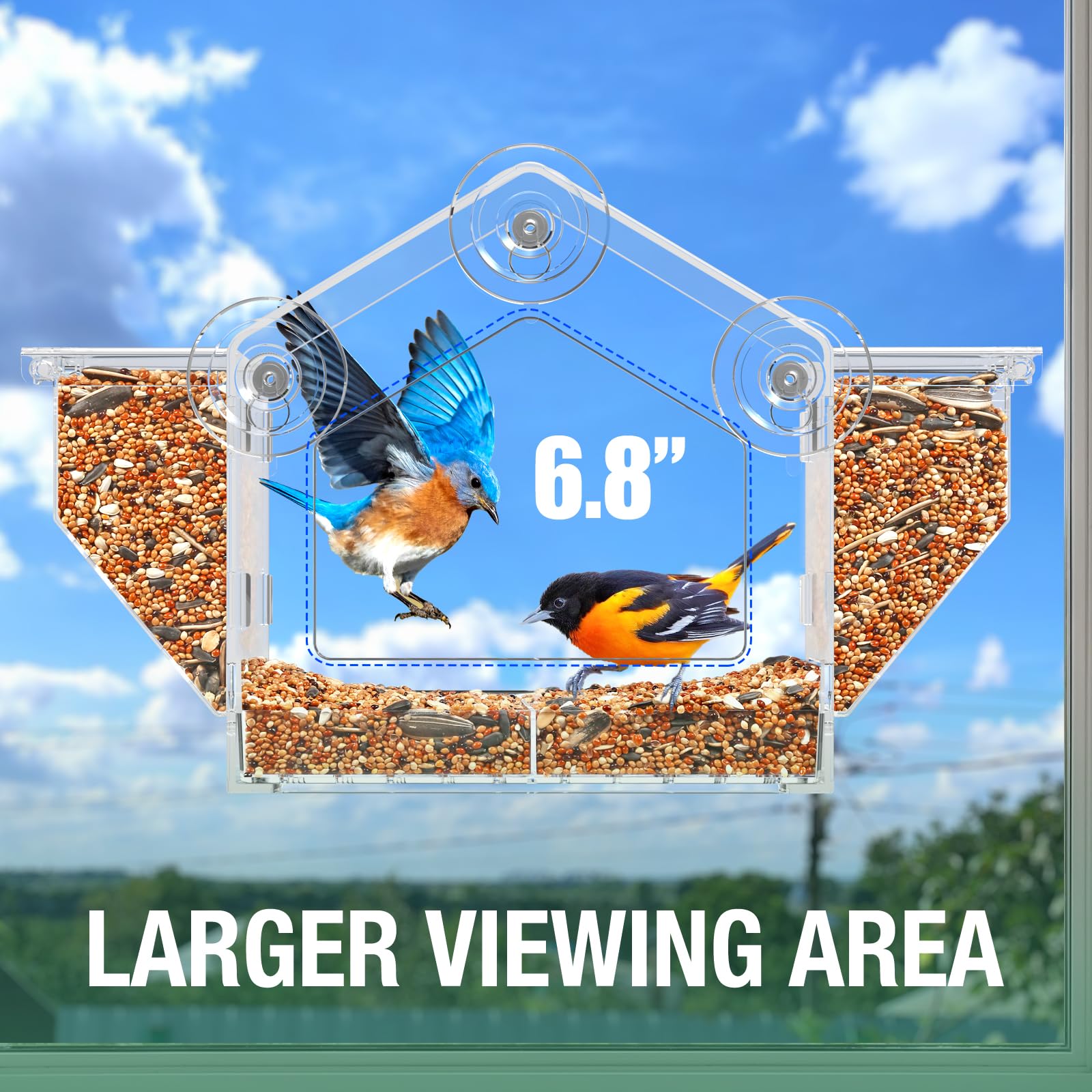 FLINTER Window Bird Feeder suction cup installation