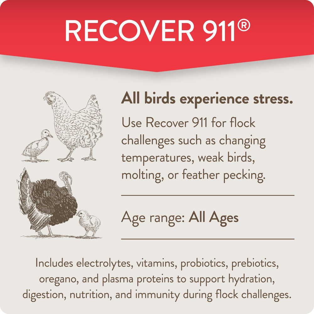 FLOCKLEADER Recover 911 usage with chickens