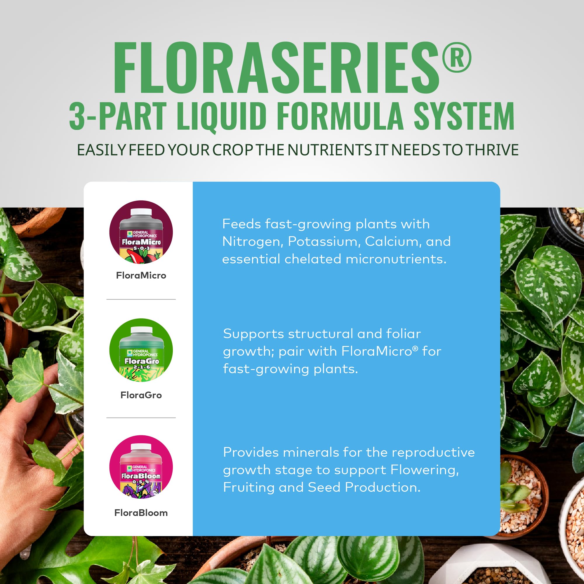 FloraBloom nutrient bottle front view