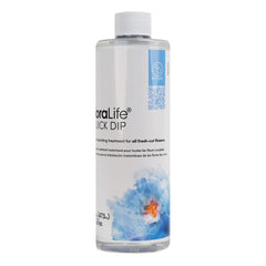 Floralife Quick Dip 16oz in use with fresh flowers