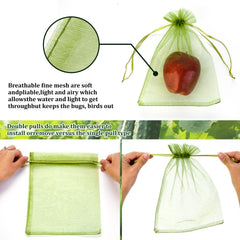 FloraSea fruit protection bags covering apples in garden