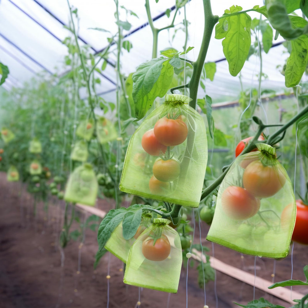 FloraSea fruit protection bags securing peaches from pests
