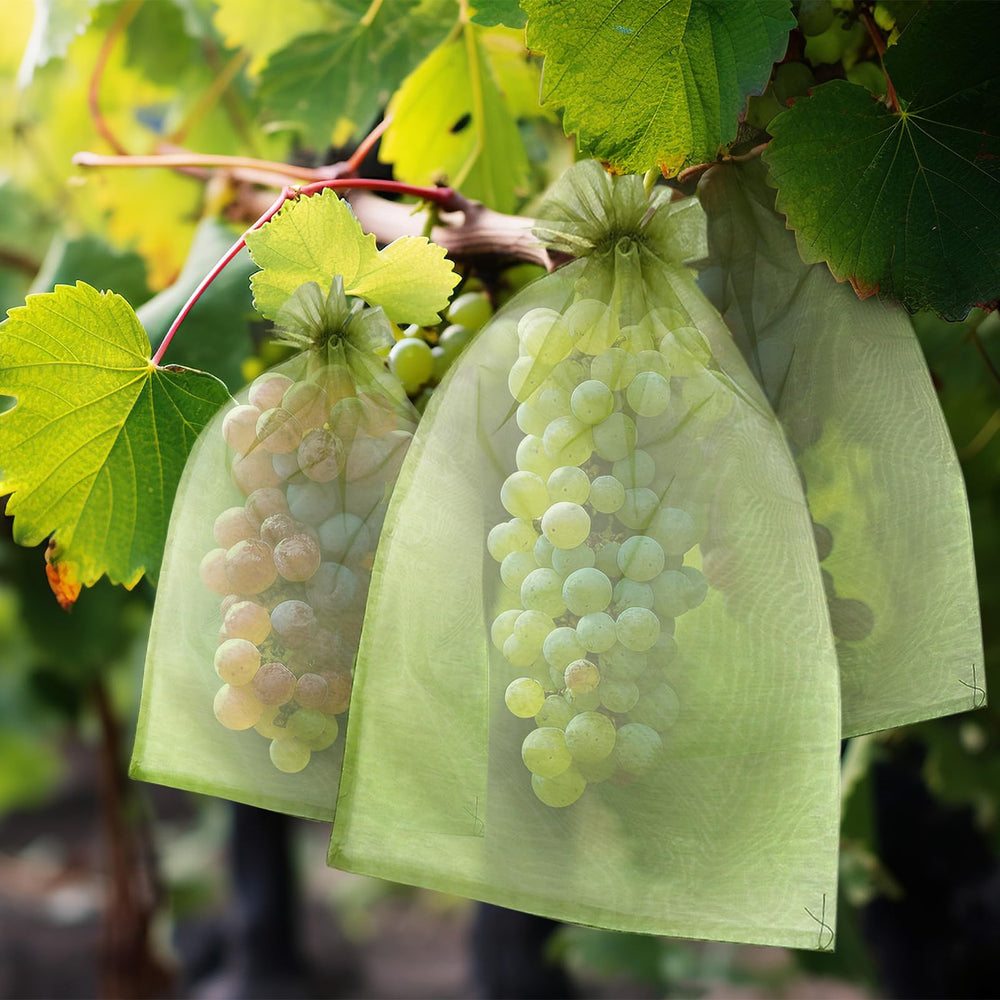 FloraSea fruit protection bags showing breathability feature