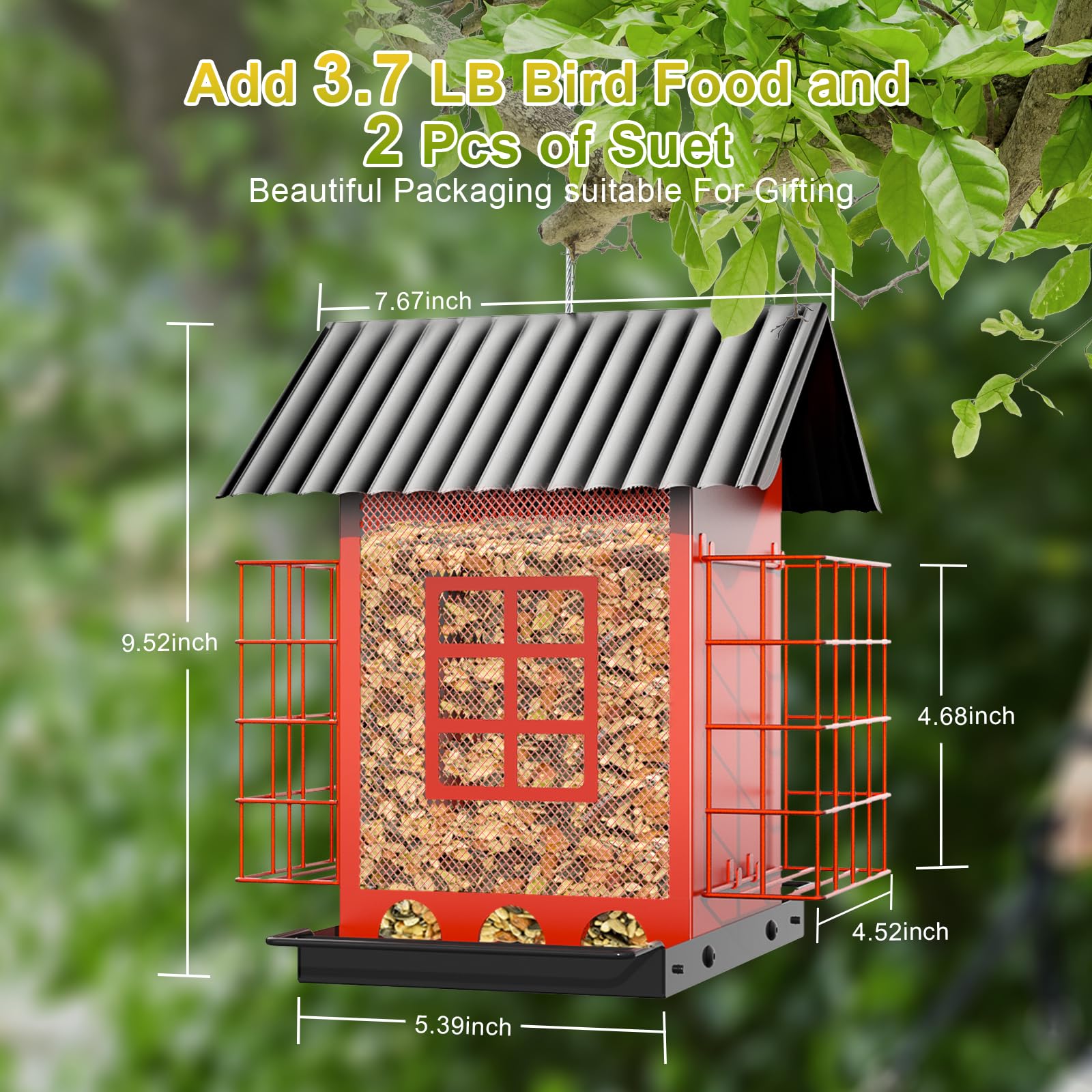 FlowaFoli Bird Feeder filled with black oil sunflower seeds
