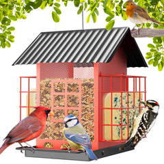 FlowaFoli Bird Feeder front view with double suet cage