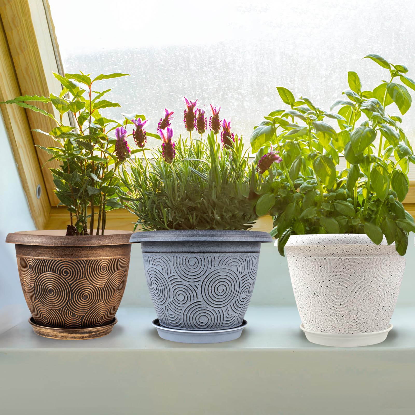 Fodetyff Flower Pot in Gold with Cactus Plant