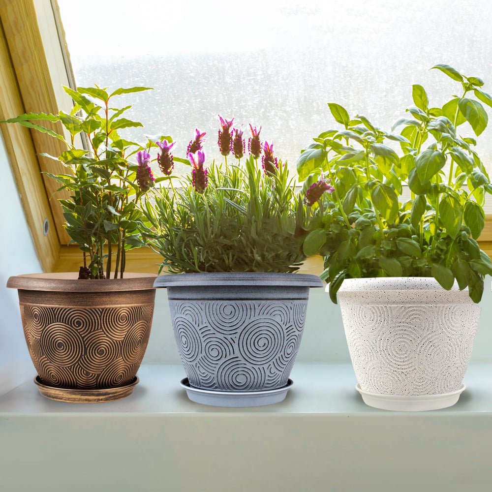 Fodetyff Flower Pot in Gold with Cactus Plant