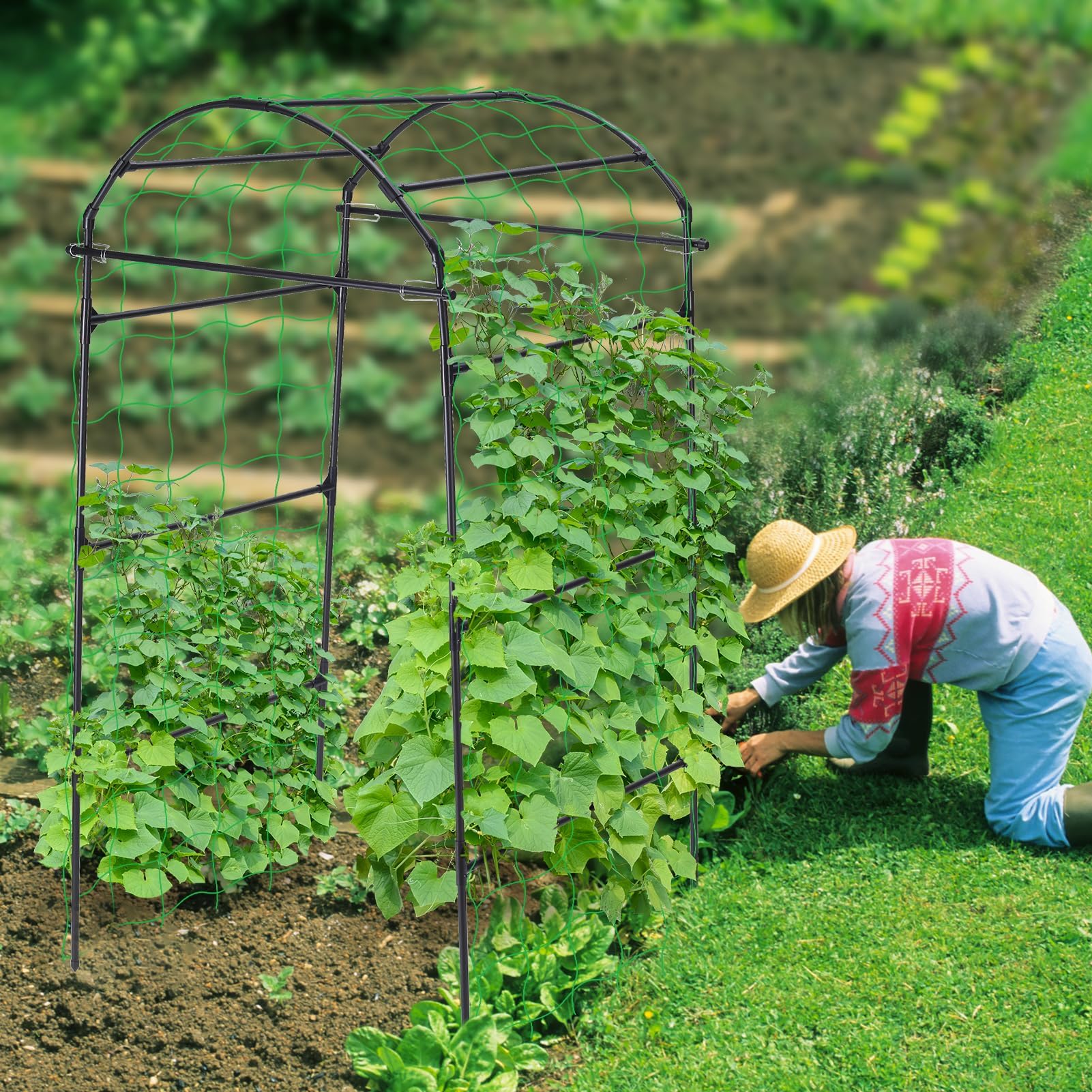 FOLLOOK Garden Arch Trellis displayed with vegetables