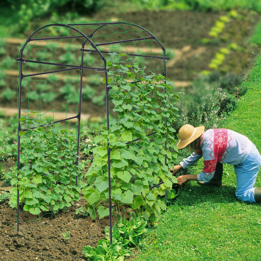 FOLLOOK Garden Arch Trellis displayed with vegetables
