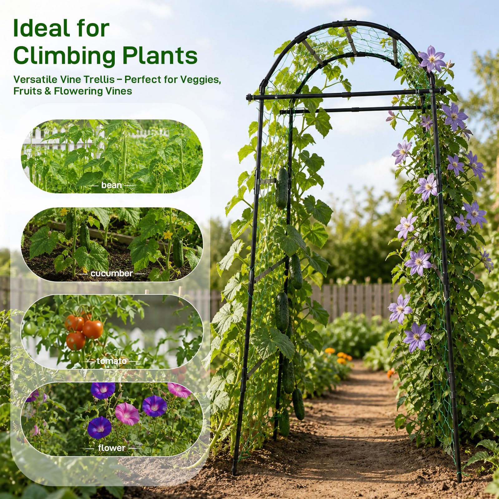 FOLLOOK Garden Arch Trellis side view in garden