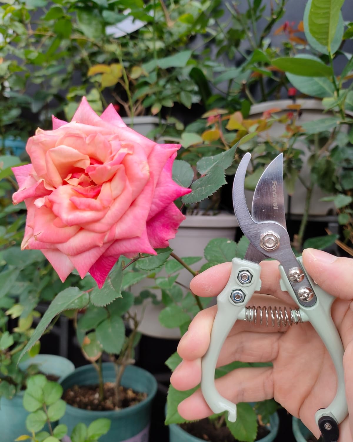 Fondwell pruning scissors displayed on a garden table