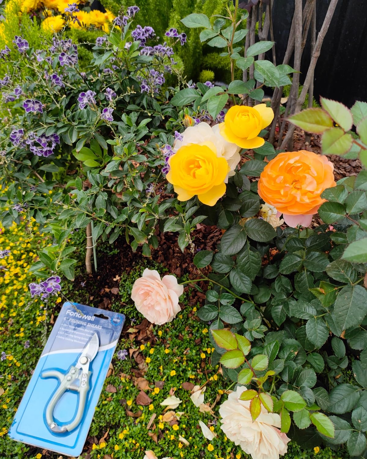 Fondwell pruning scissors packaging with product details