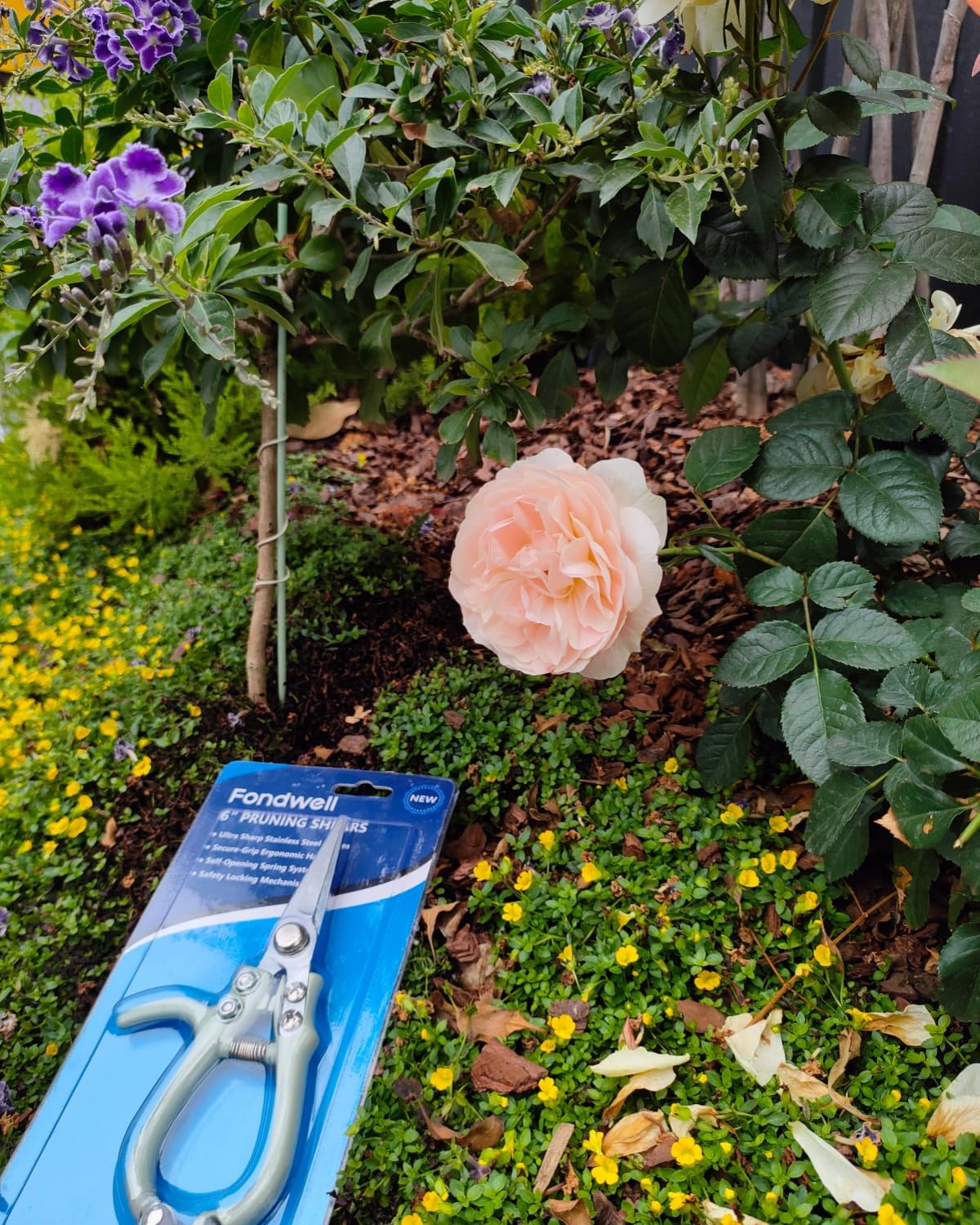 Fondwell pruning shears laid flat on a wooden table
