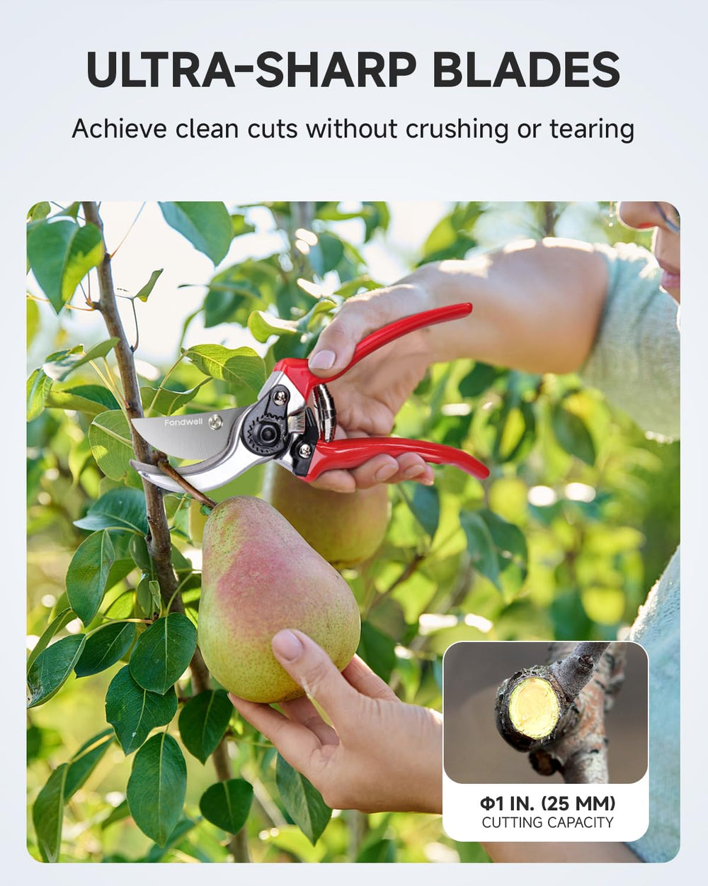 Fondwell pruning shears with ergonomic non-slip grips
