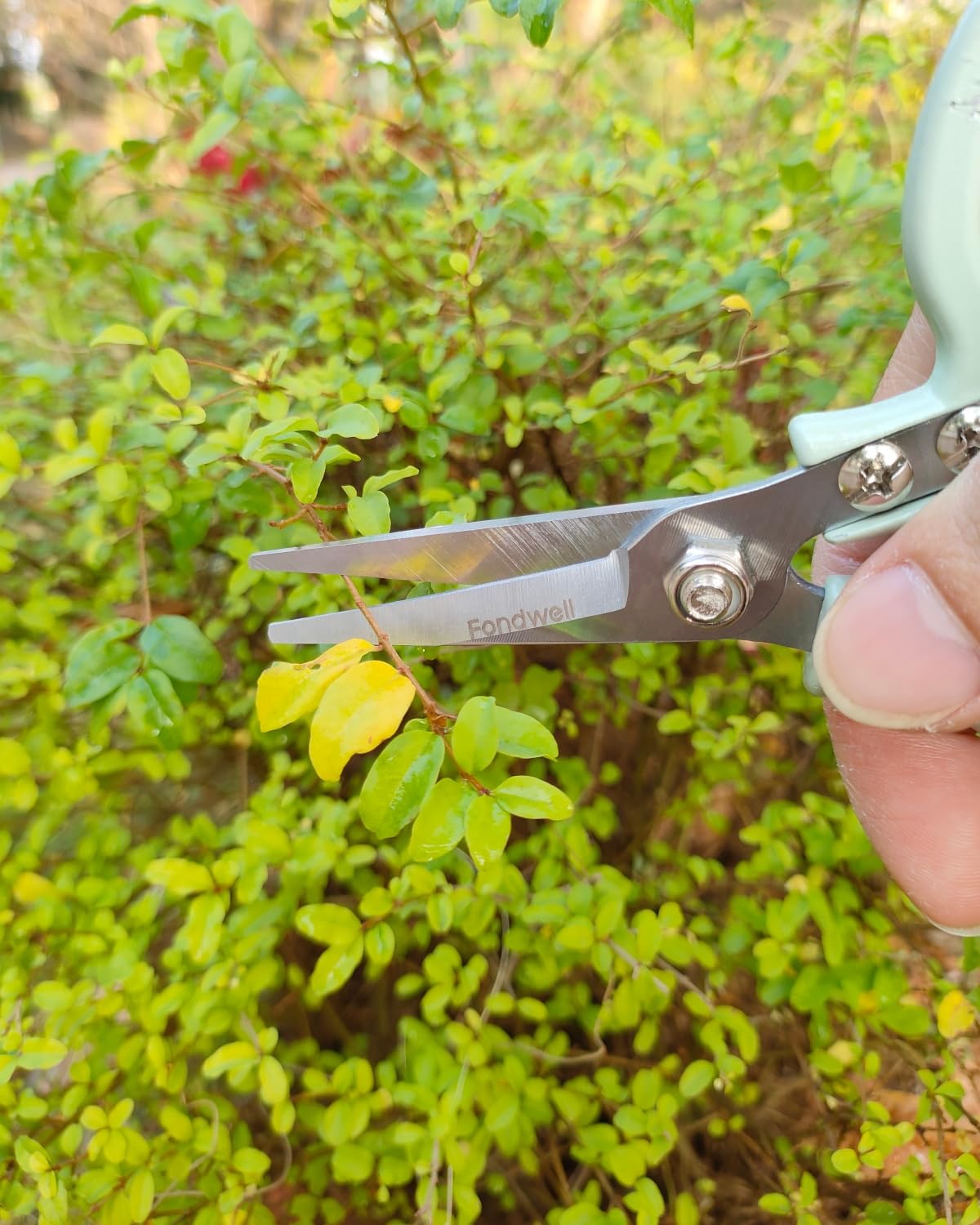 Fondwell pruning shears with safety lock mechanism engaged