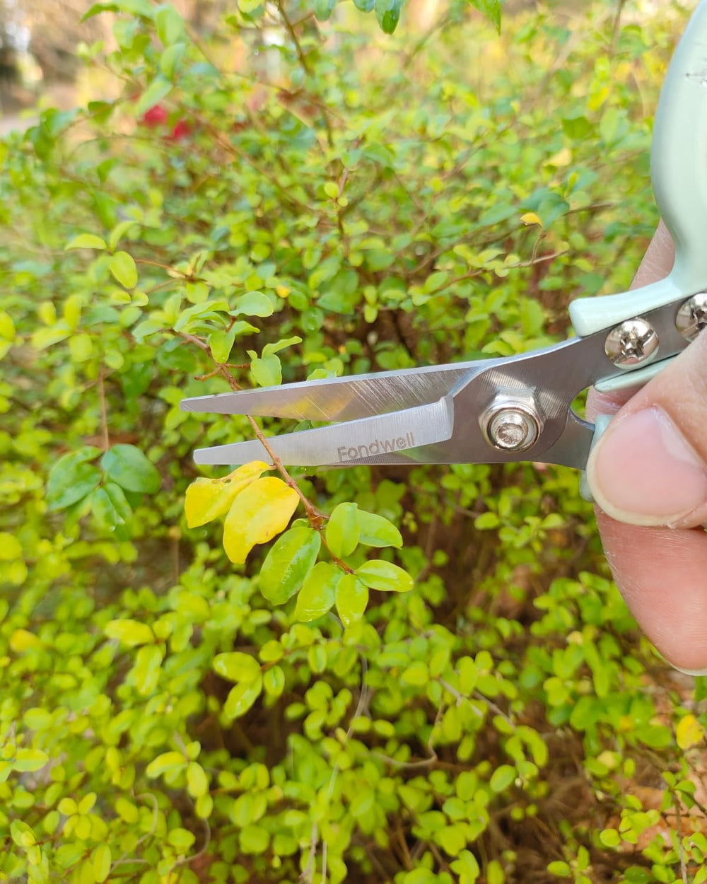 Fondwell pruning shears with safety lock mechanism engaged