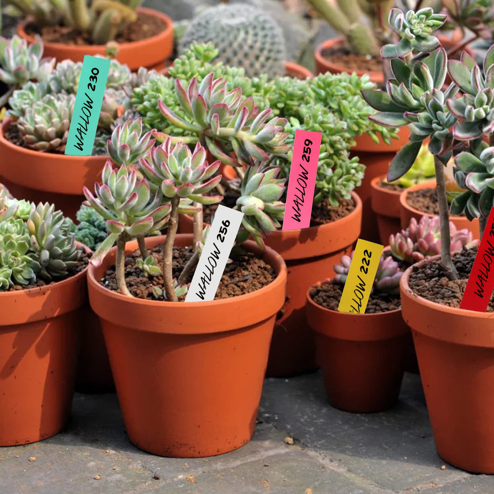 Foraineam 1000 plant labels stacked together