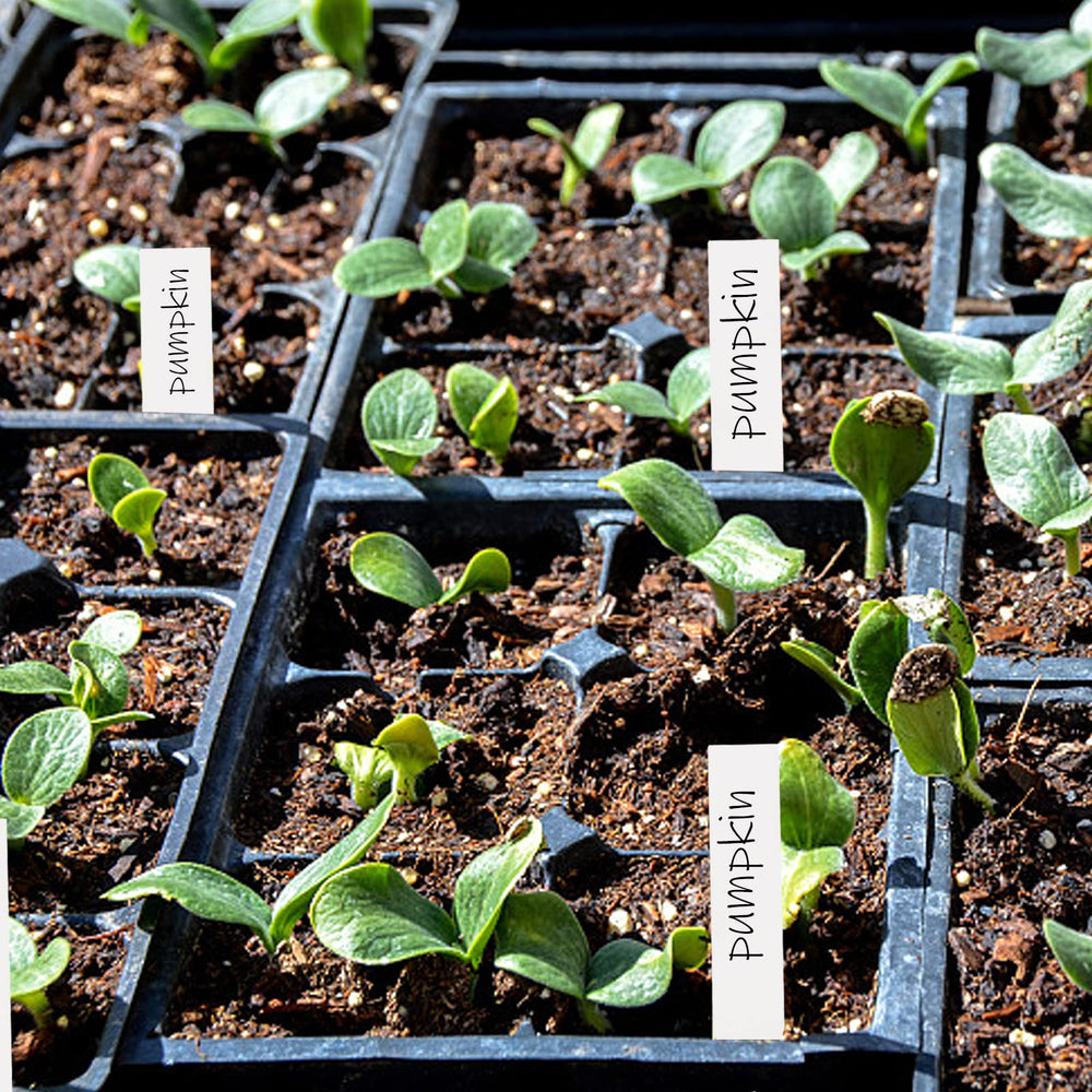 Foraineam durable plastic plant labels in soil