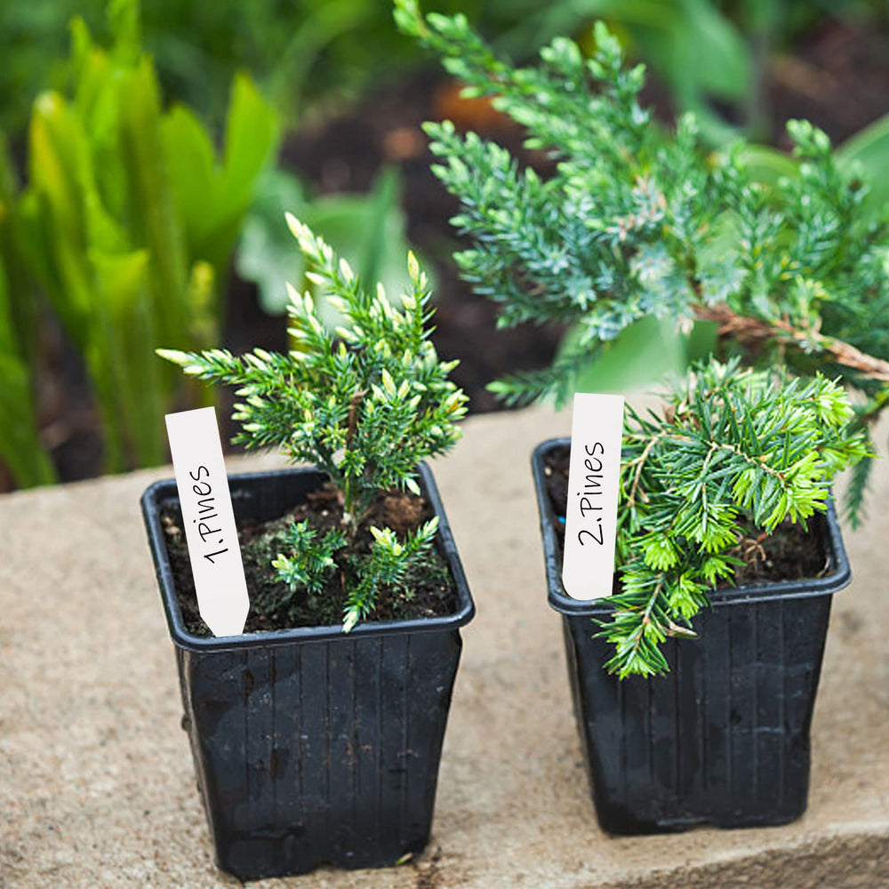 Foraineam plant labels package contents