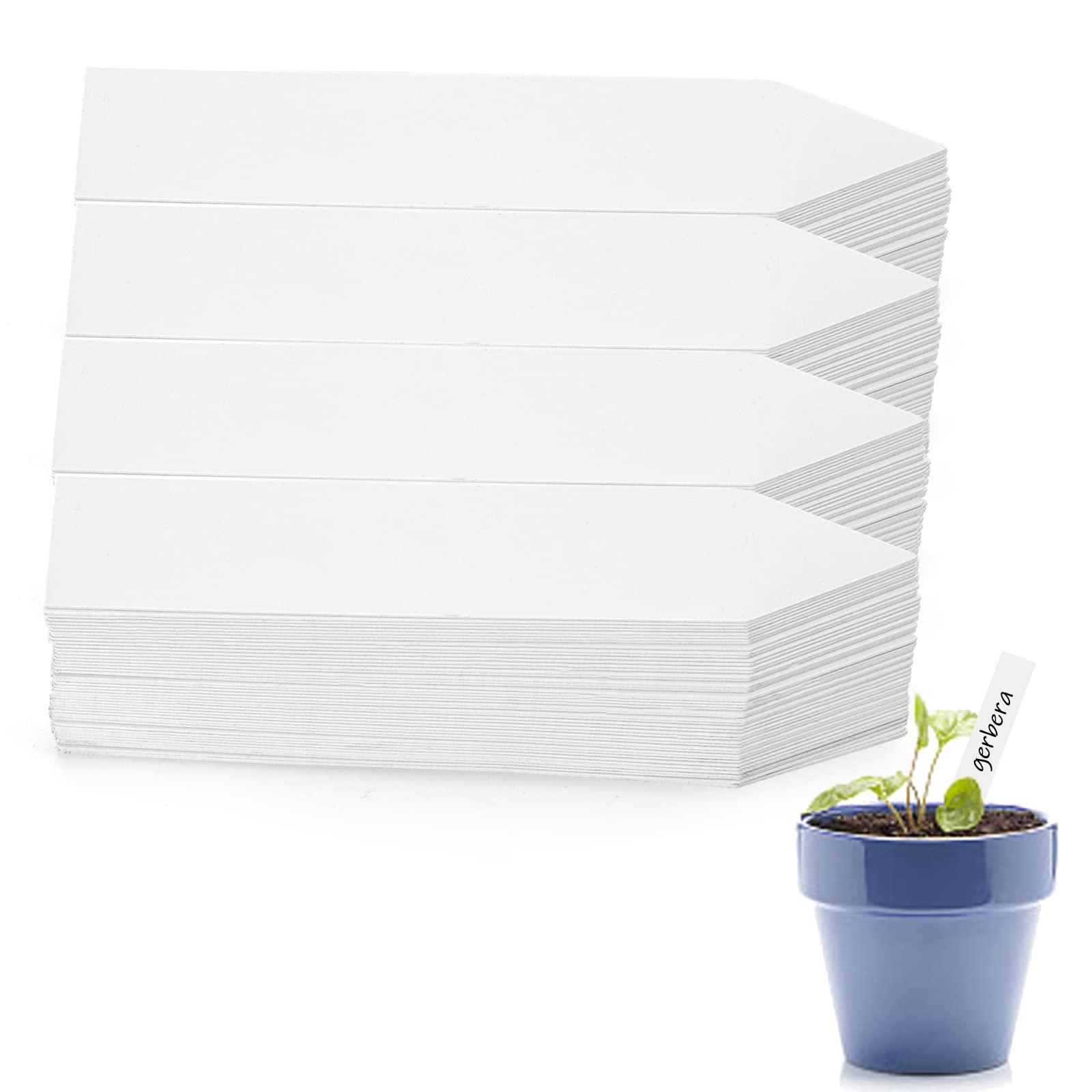 Foraineam plant labels with pencil markings
