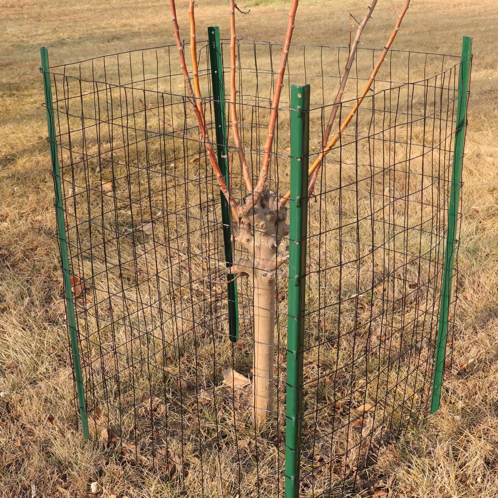 FOREHOGAR welded wire fence protects flower bed