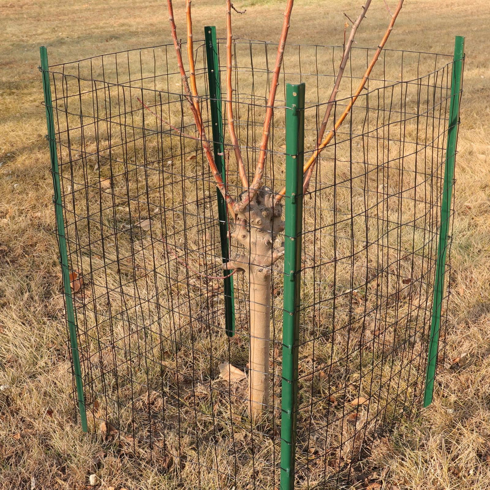 FOREHOGAR welded wire fence protects flower bed