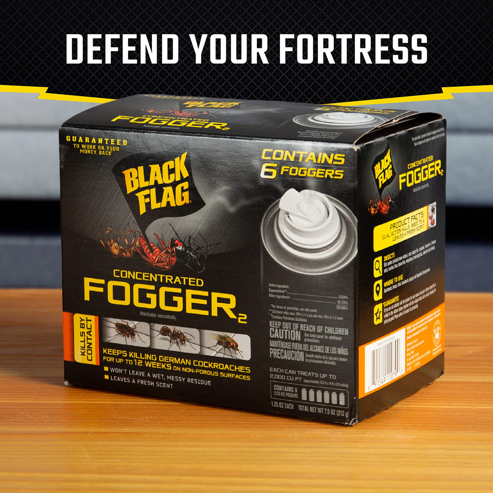 Four Black Flag Concentrated Fogger cans arranged together