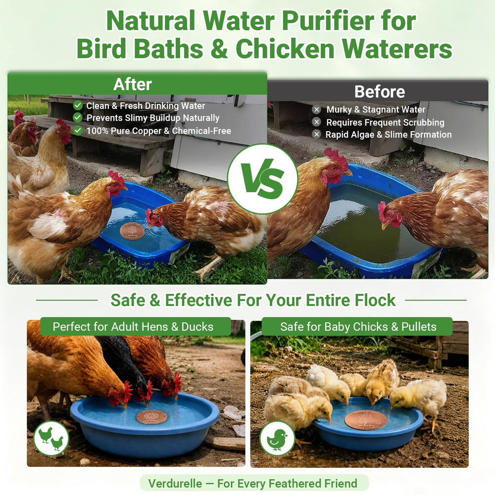 Four unique designs of Verdurelle bird bath discs displayed together
