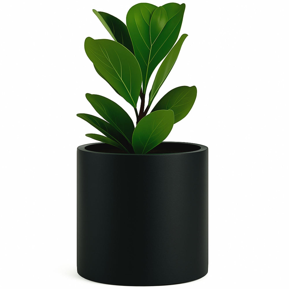 Fox & Fern 12 Inch Black Matte Large Planter front view