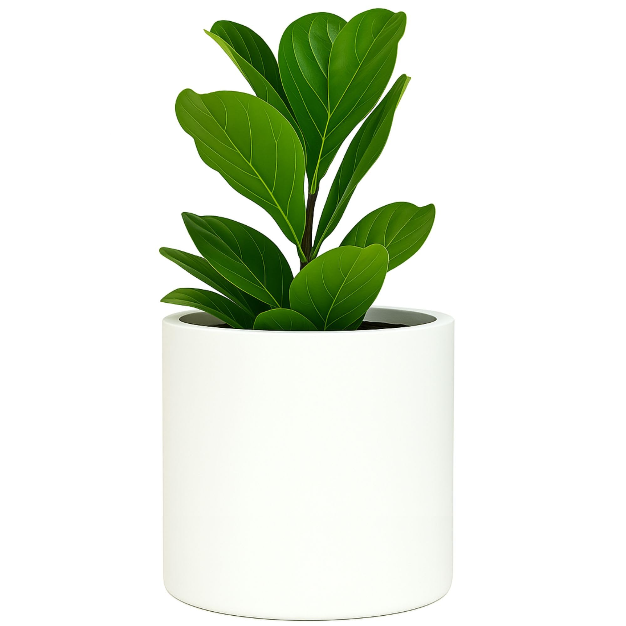 Fox & Fern Large Planter 12 Inch White Matte front view