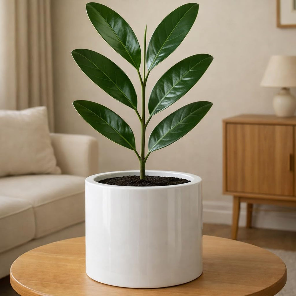 Fox & Fern Large Planter 8 Inch White Glossy front view