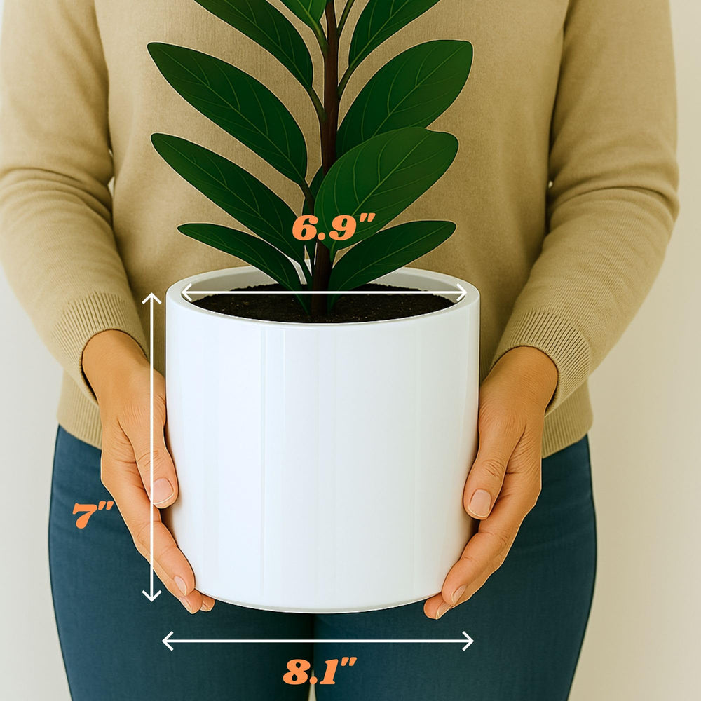 Fox & Fern Large Planter 8 Inch White Glossy in outdoor setting