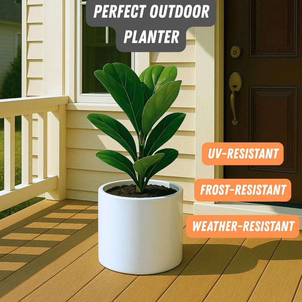 Fox & Fern Large Planter 8 Inch White Glossy on plant stand