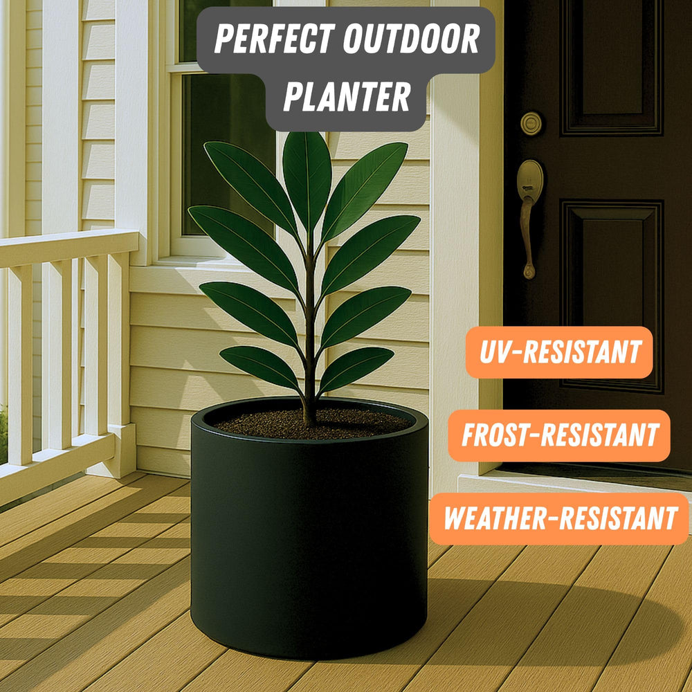 Fox & Fern Large Planter Black Matte with fiddle leaf fig