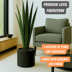 Fox & Fern Large Planter with fiddle leaf fig inside
