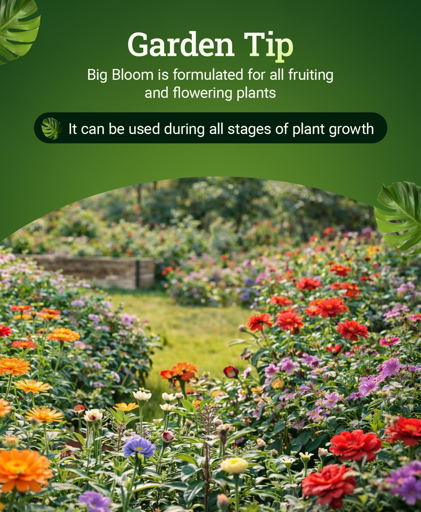 FoxFarm Big Bloom Liquid Plant Food in garden setting