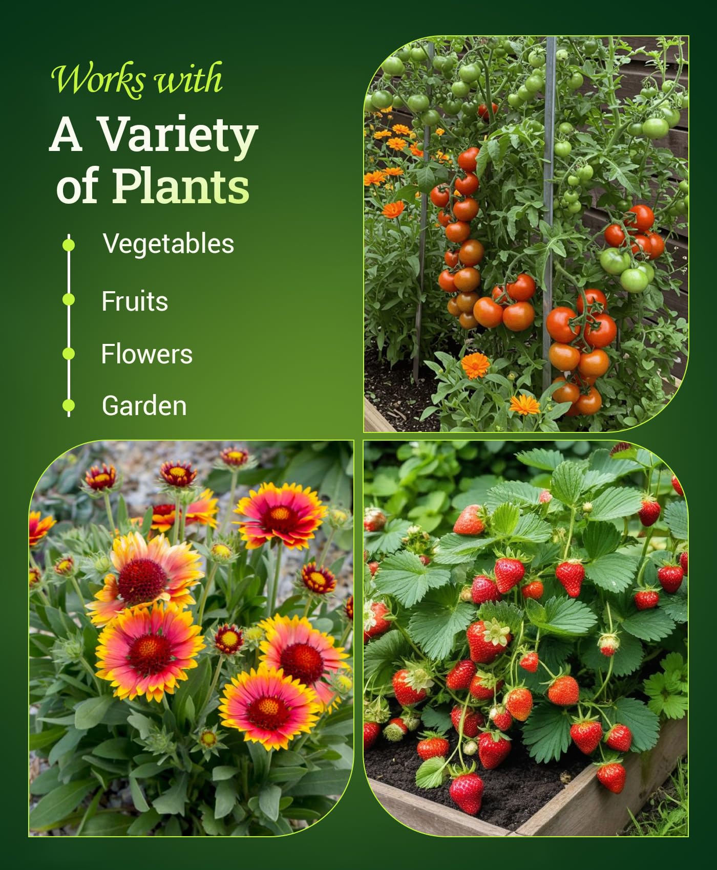 FoxFarm Bush Doctor Kelp Me Kelp You Fertilizer ingredients list